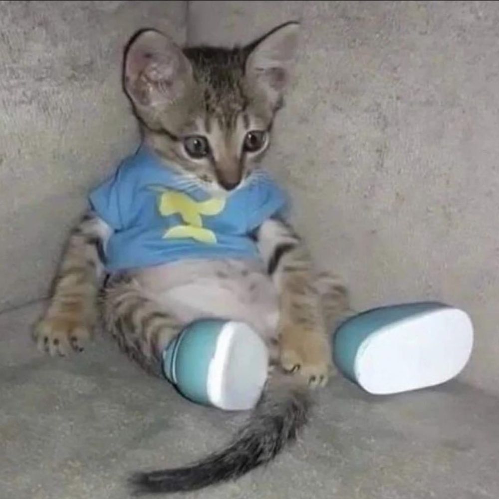 𝐛𝐨𝐰𝐢𝐞