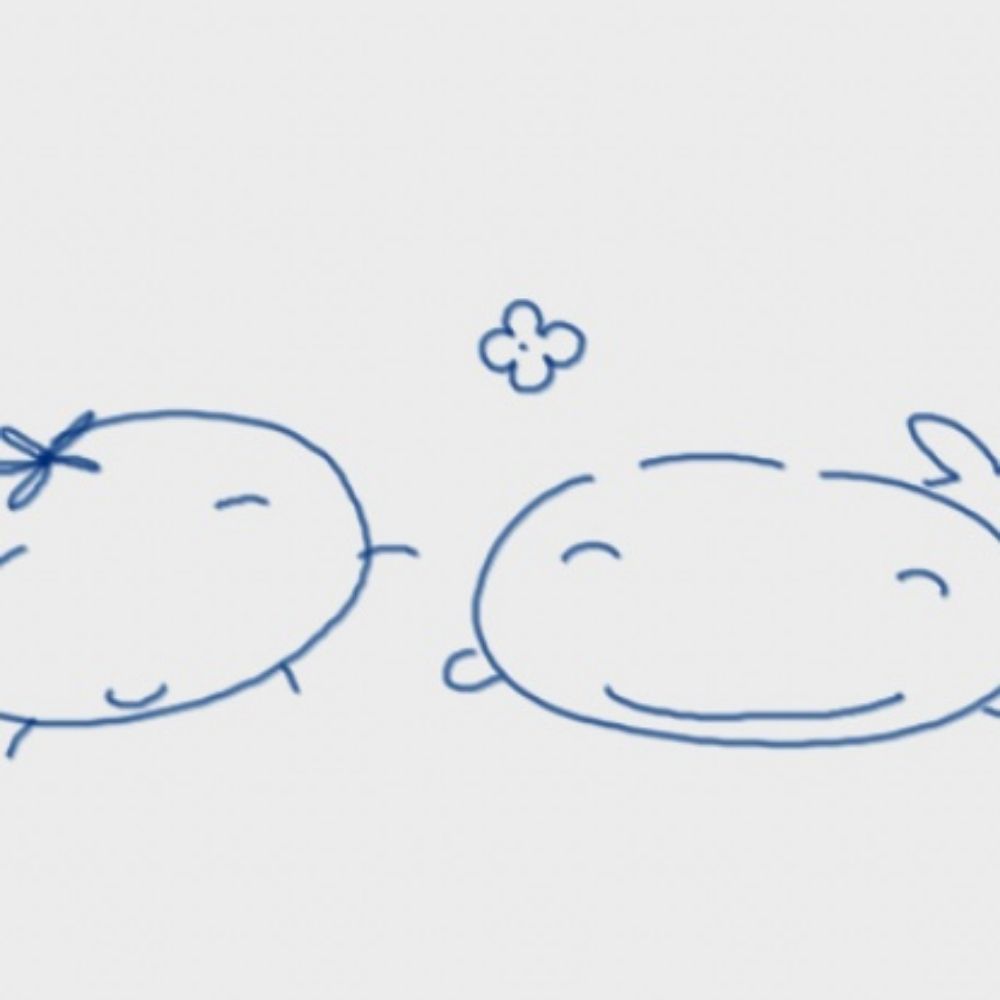 네스🐳