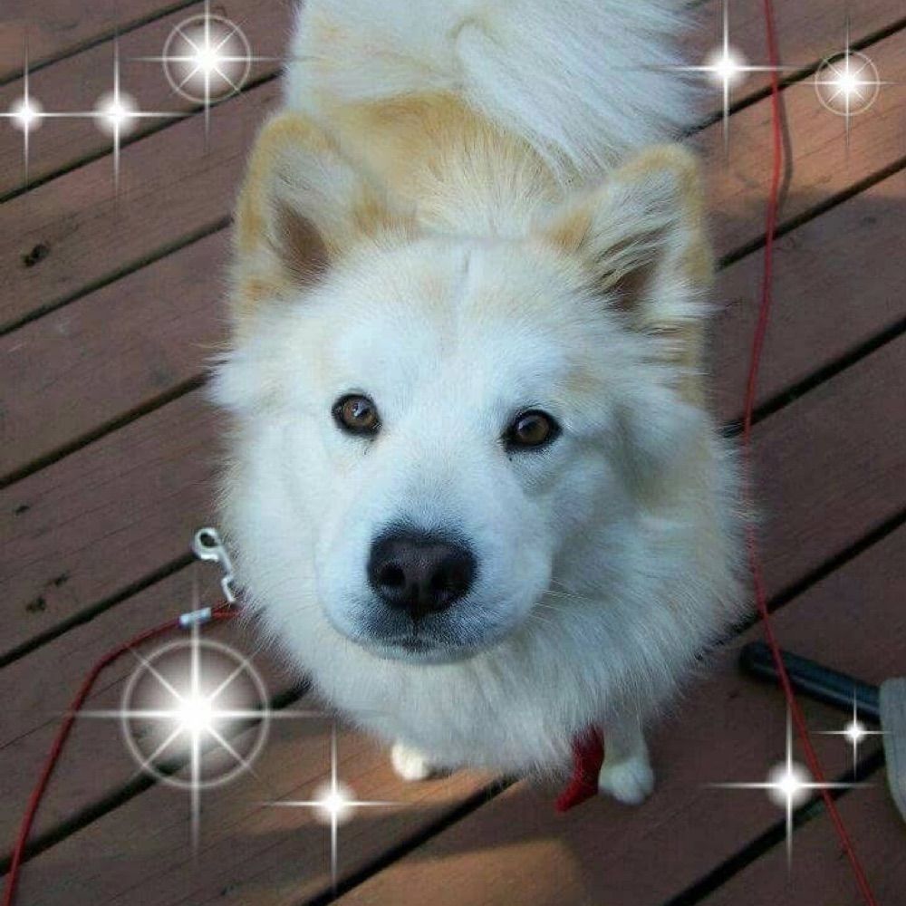 Ren ✨