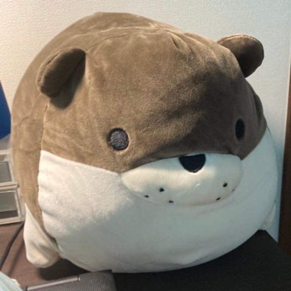 コーピー