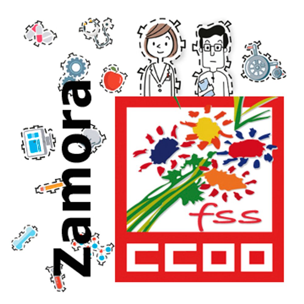 FSS CCOO ZAMORA