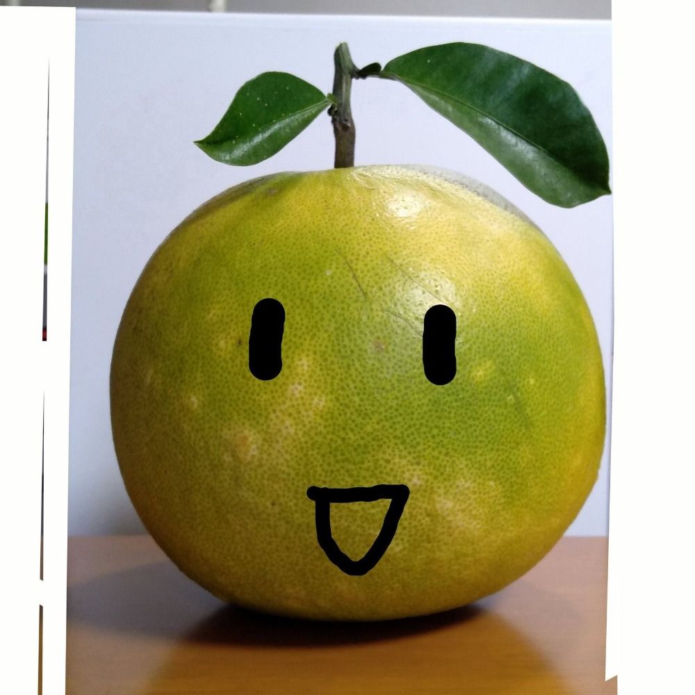 ななほししろくま