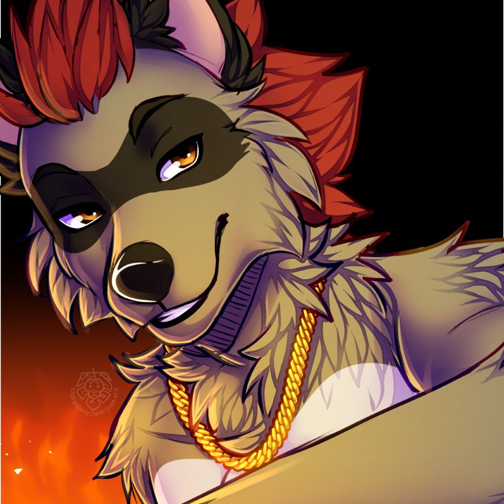 CoopRaccoon 🦝🧡💛🤍🩵💙
