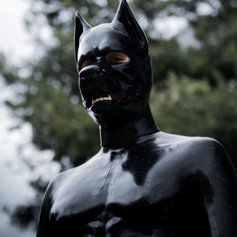 Dommy the RubberDog