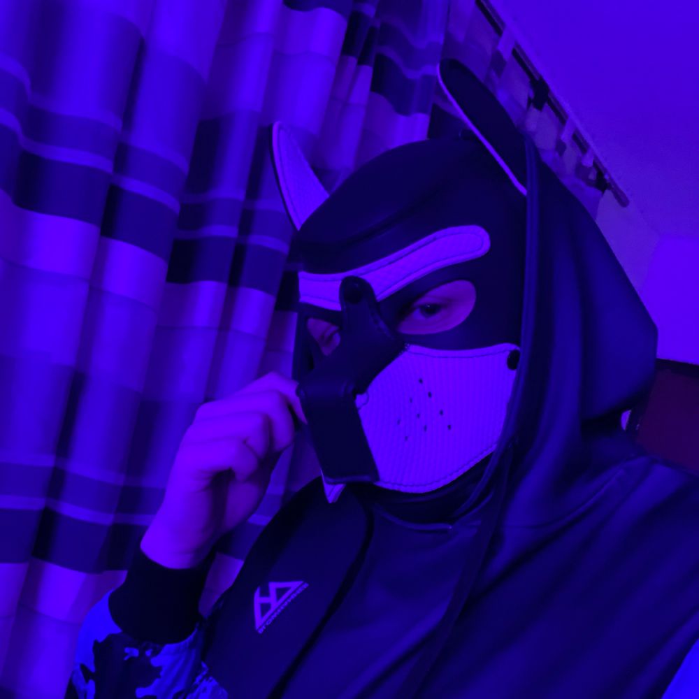 Pup Shadow 🔥