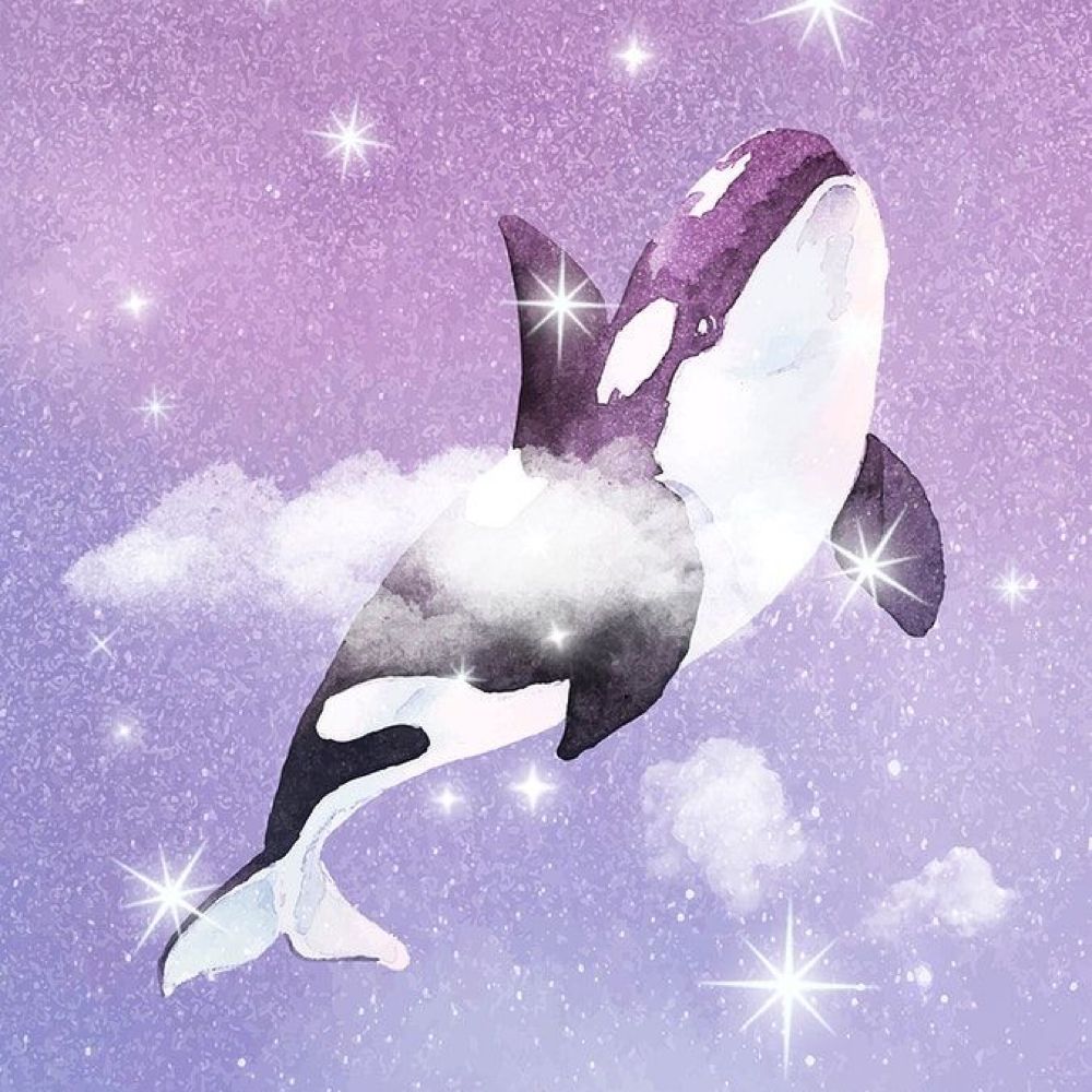 Whale