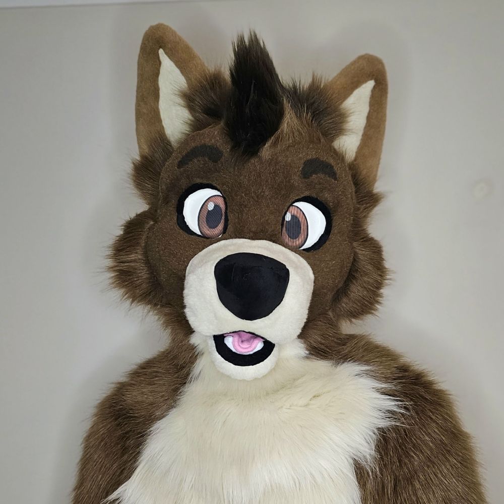 Diego the Wolf