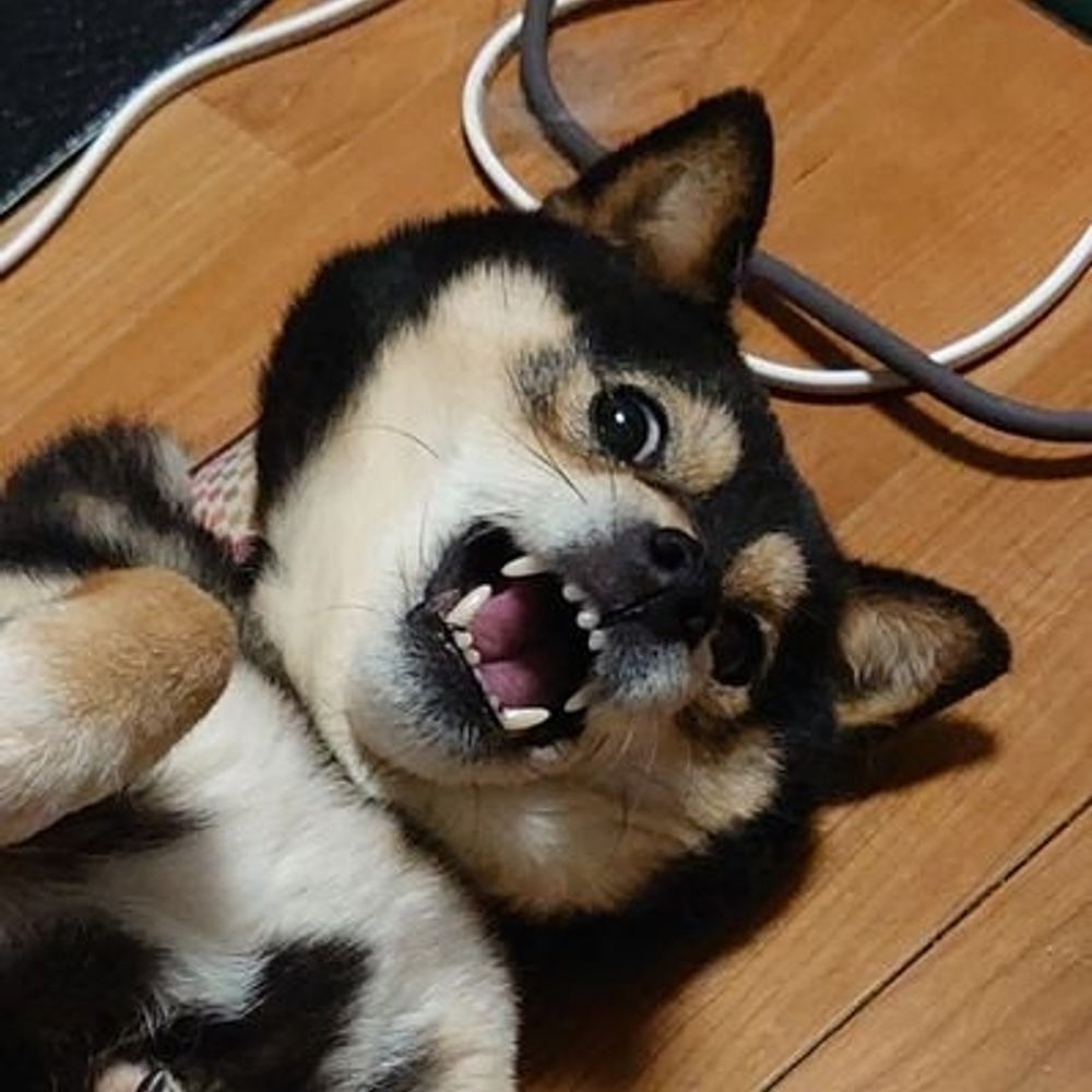 しち（漆）