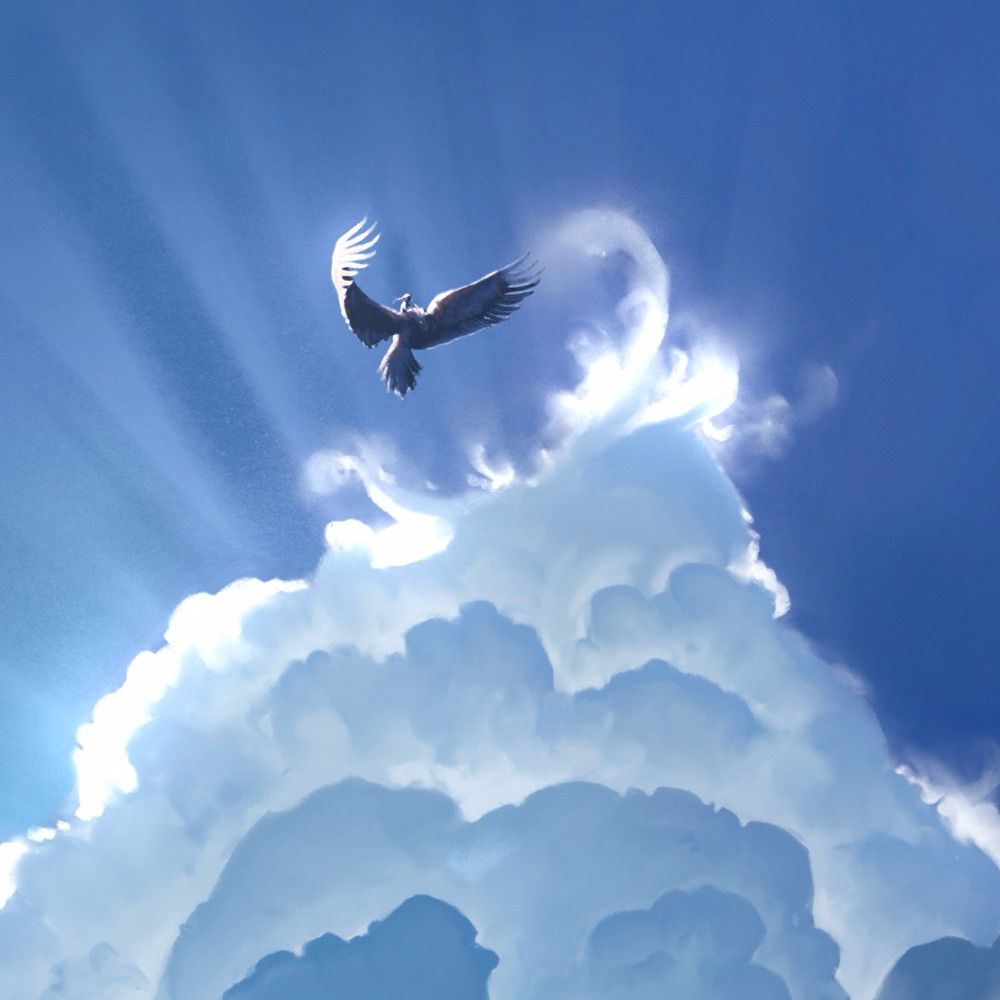 birdsqke