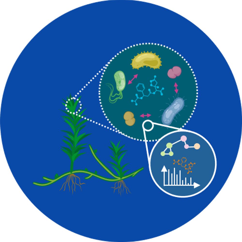 Metabolomics-guided Natural Product Discovery @ Leibniz-HKI