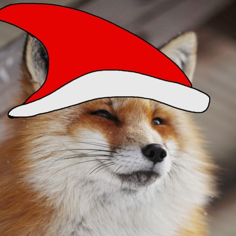 DiegotheFox