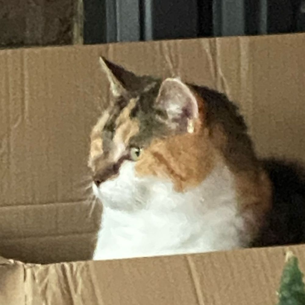 zoe