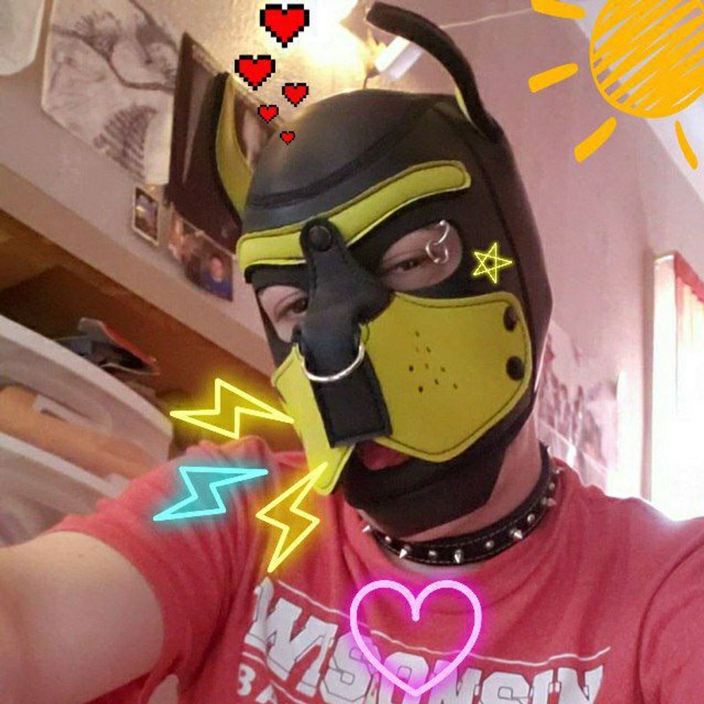 Drizz Pup