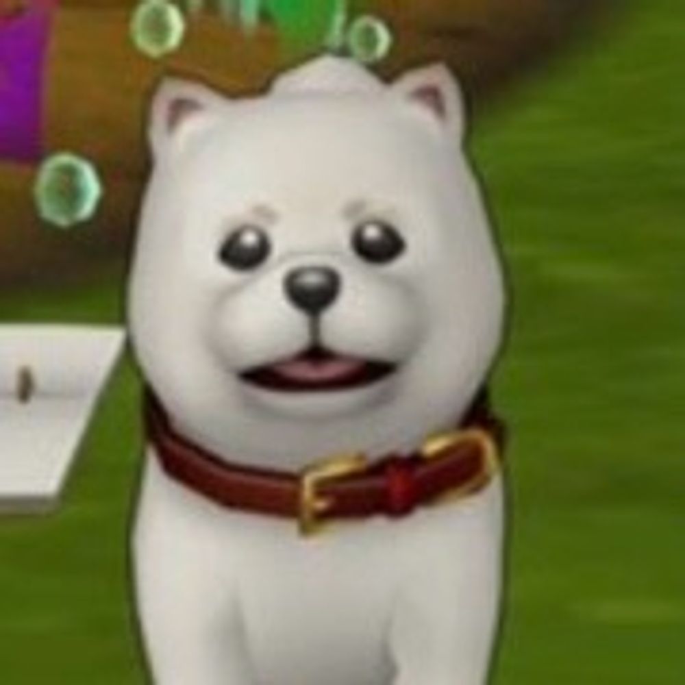 サンレーコ