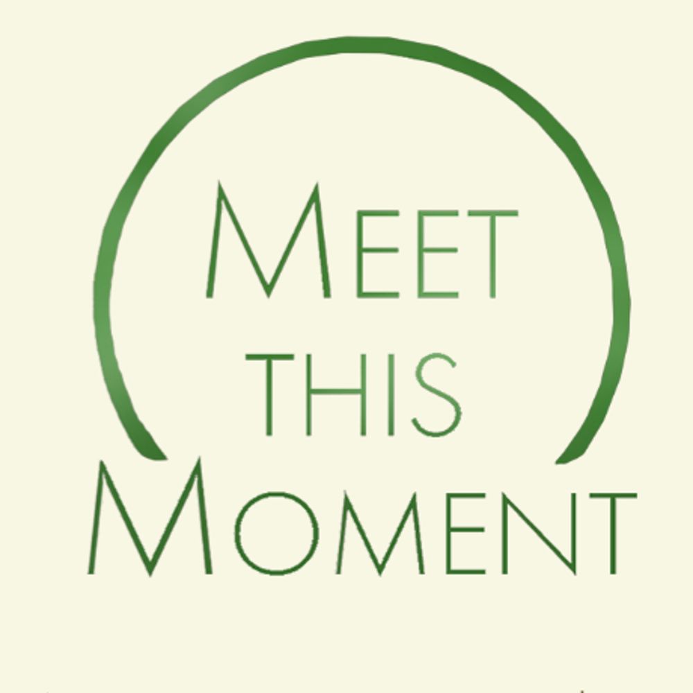 Meet This Moment