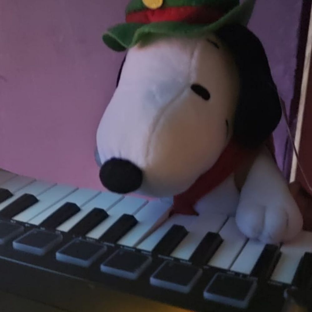 taigo
