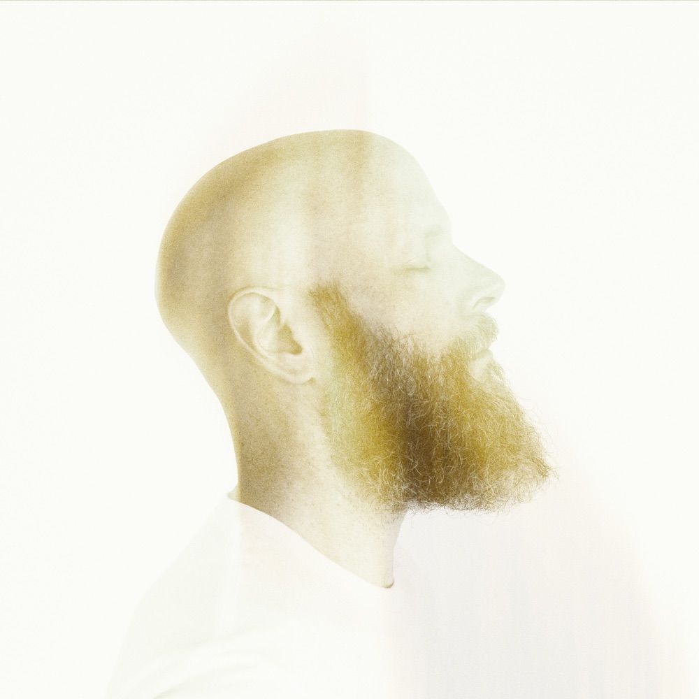 Andrew Paul