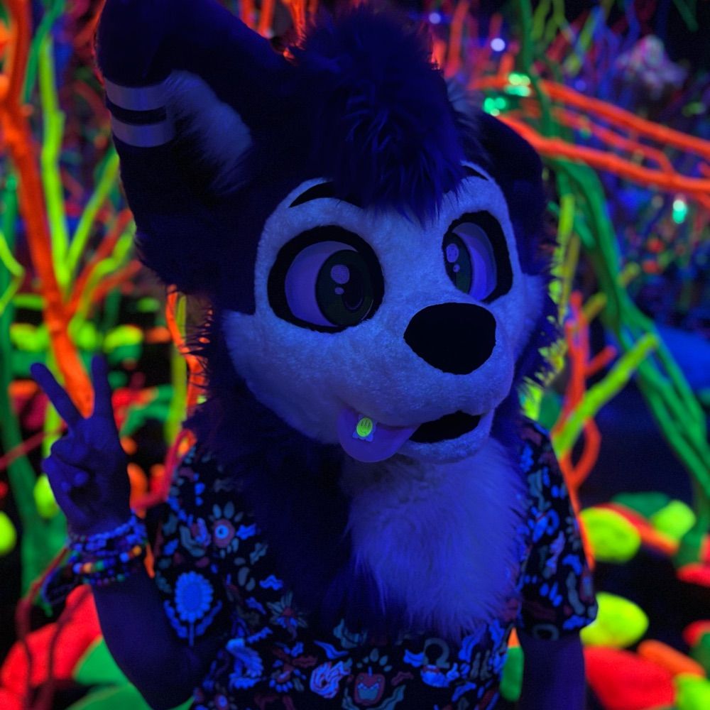 Akebi After Dark