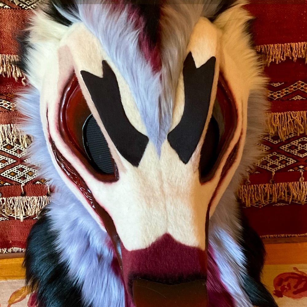 Seventh moon coyote