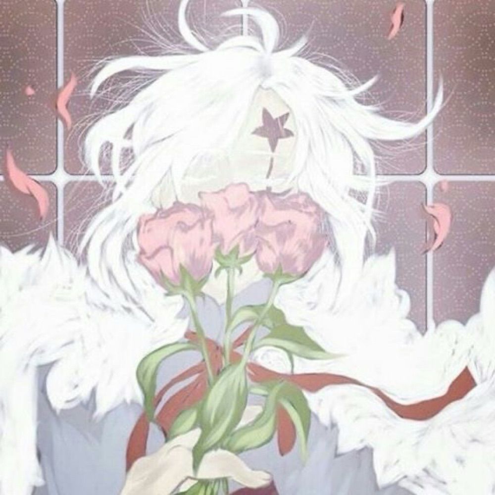 luci.