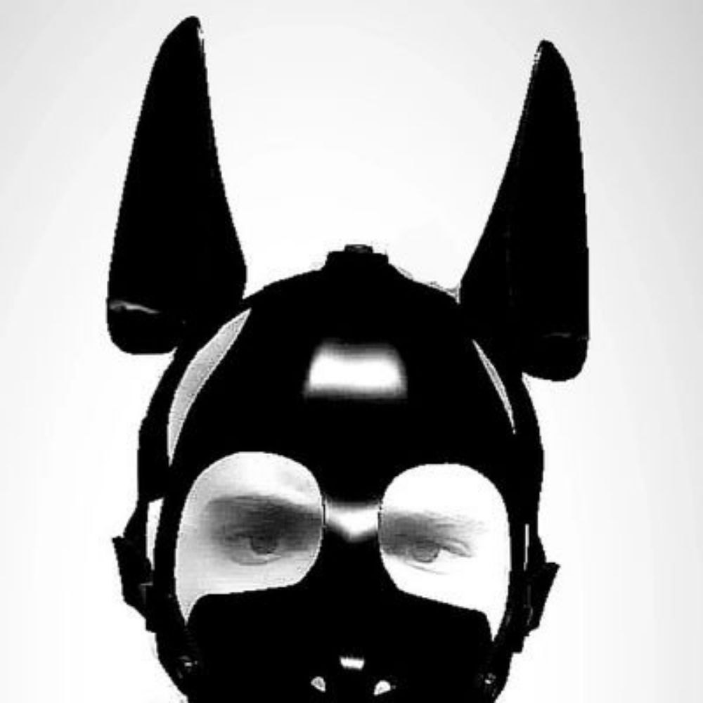 PROJECT SUB GO