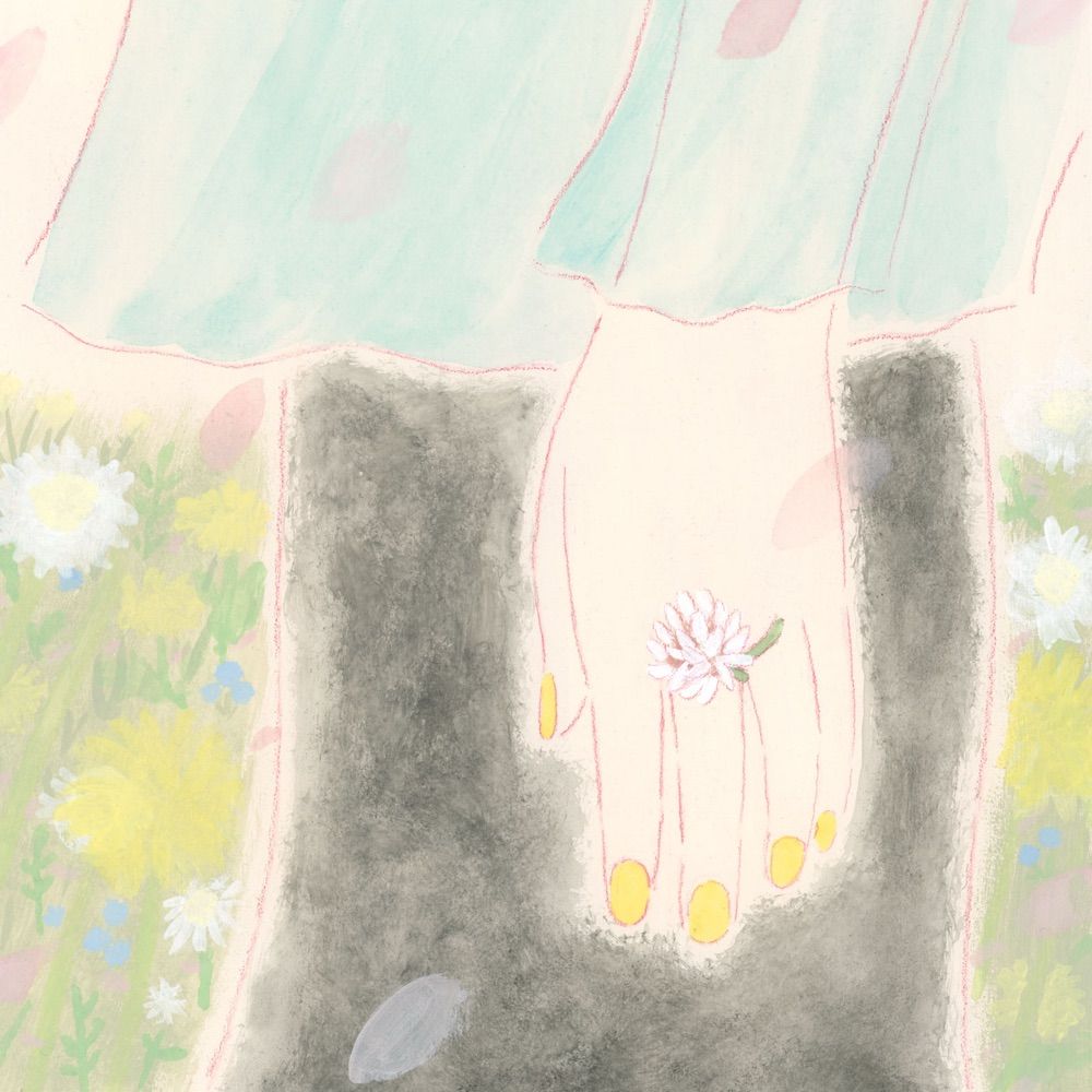 ヒラヤマメグミ