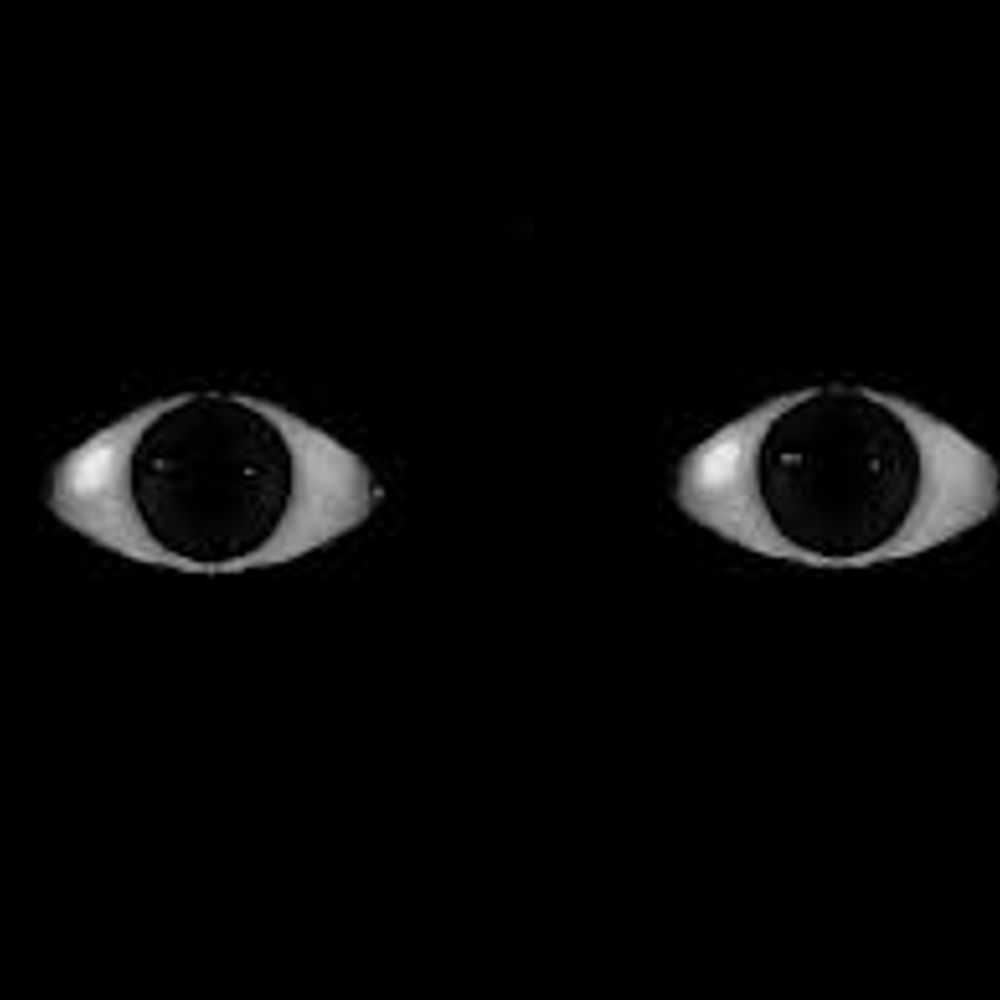 Observador