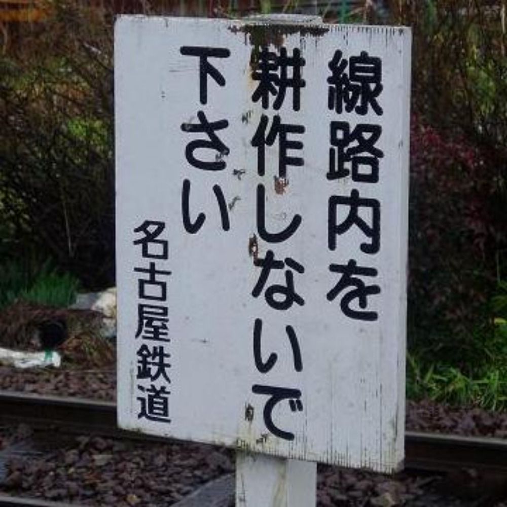 嶋 理人（Shima Rihito）