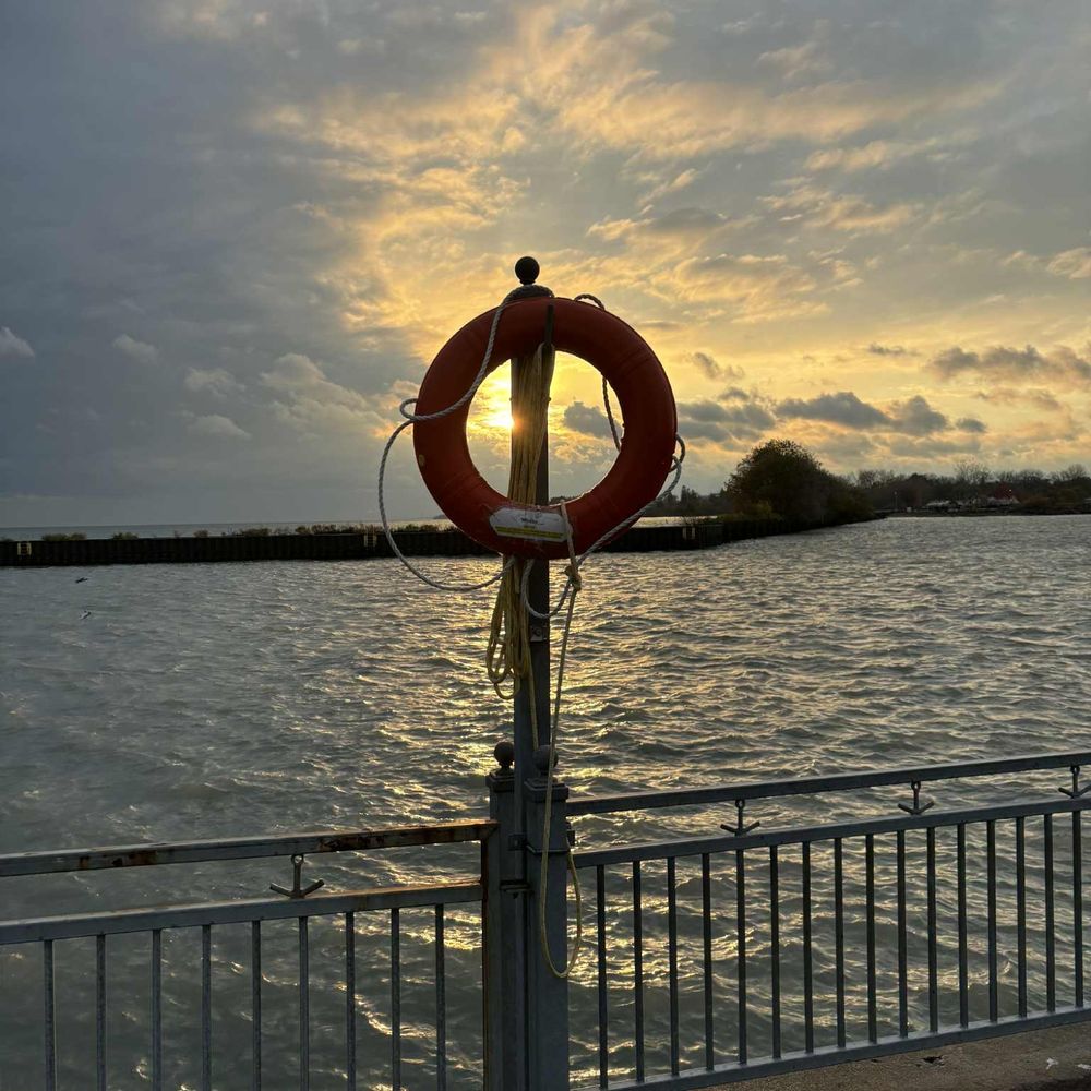 davidjbowie.bsky.social