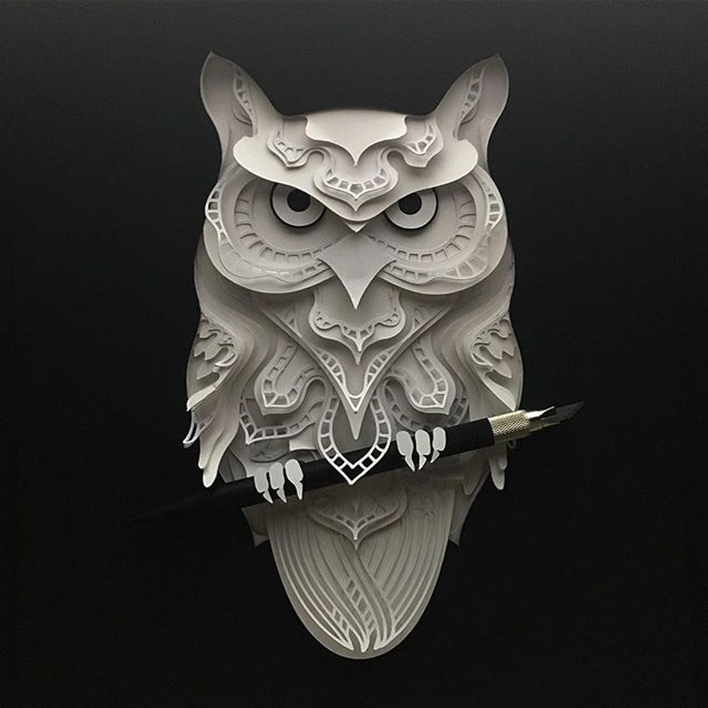 zaddockfuller.bsky.social