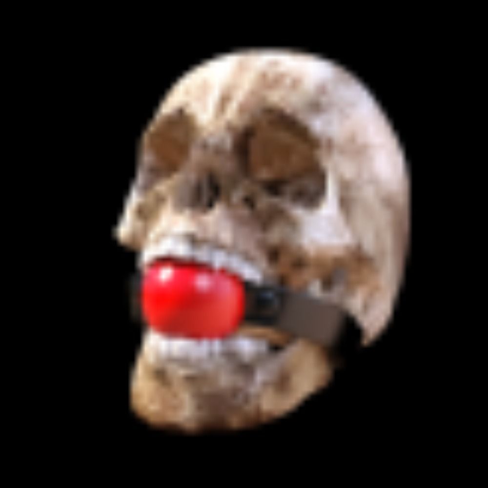 Voodoo Reagan