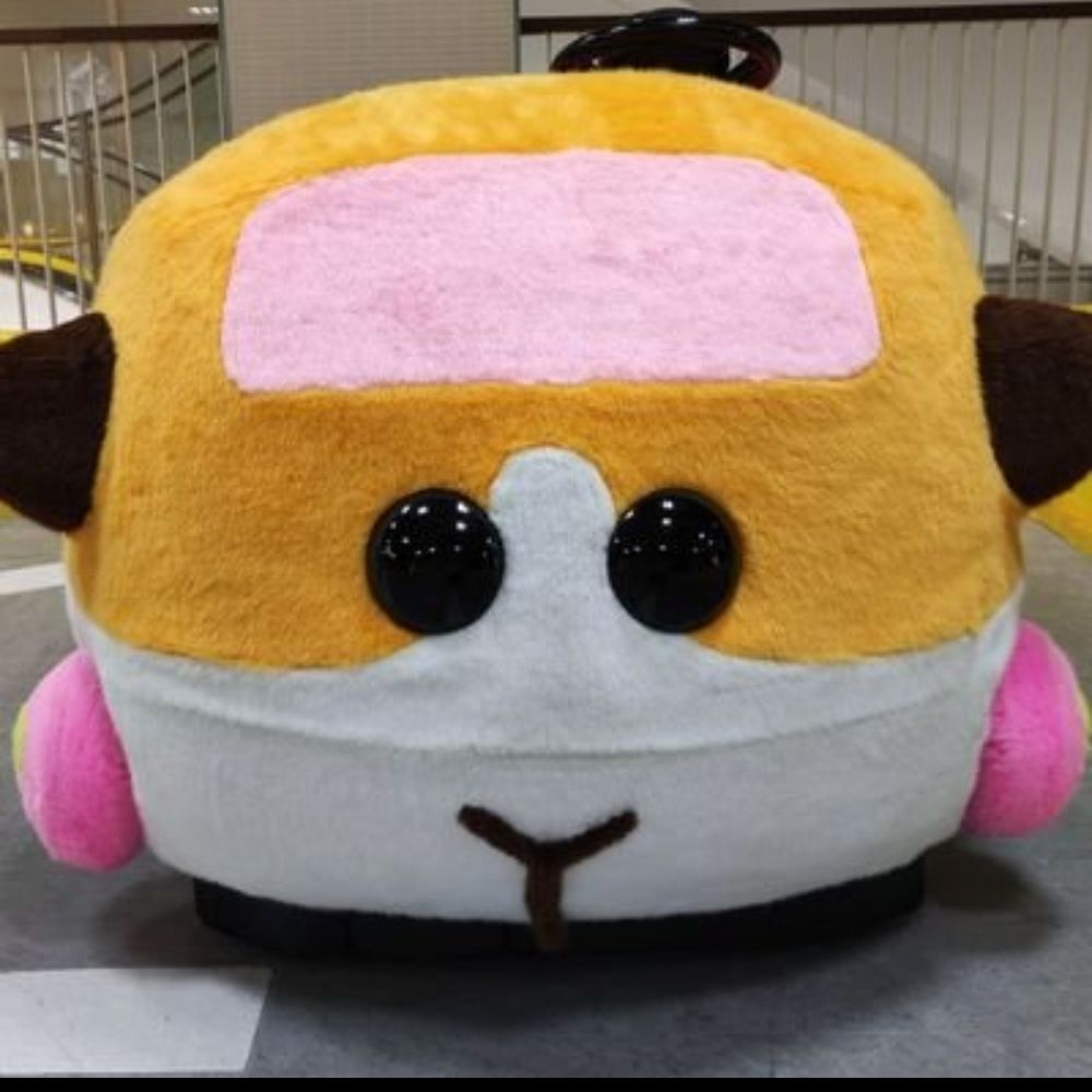 NApuipui