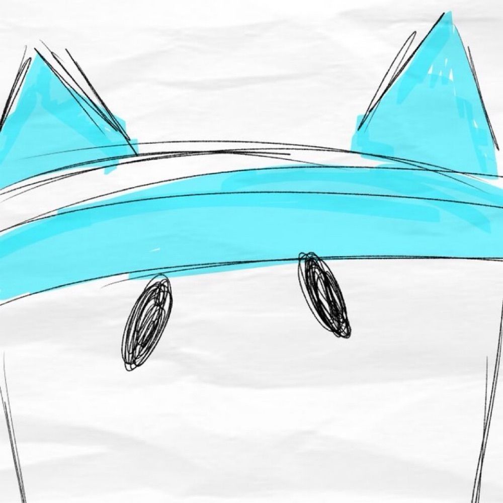 doodleshot