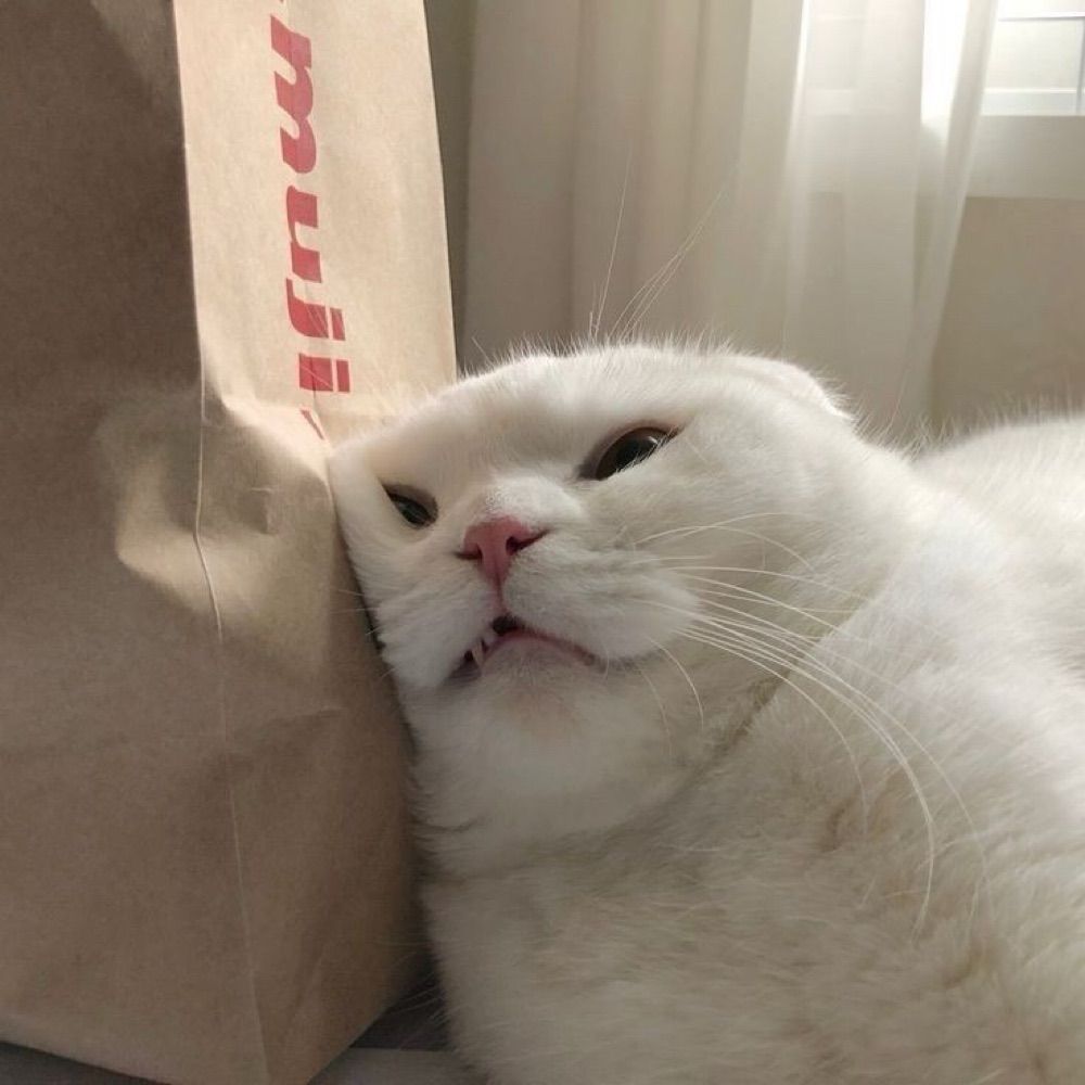 🥯