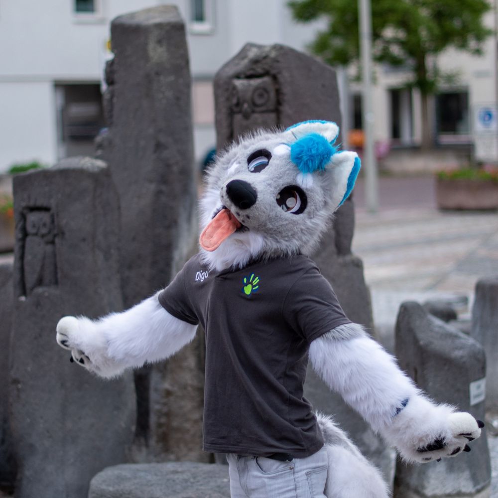 DigoTheHusky