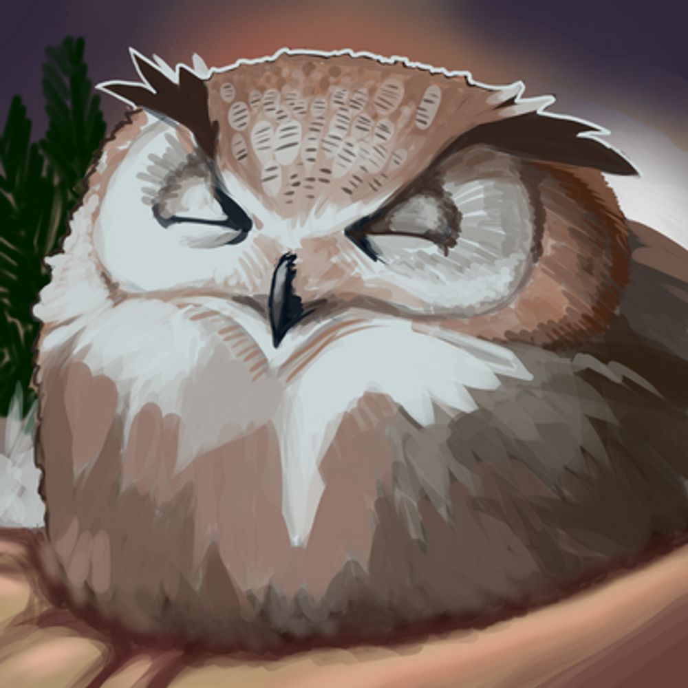 Owl! 🦉