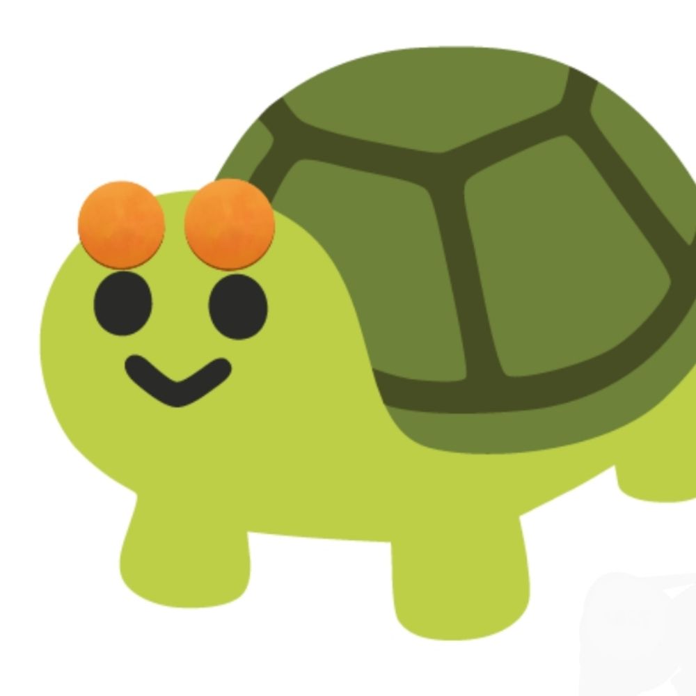 🐢ﾑ~㌧🐢