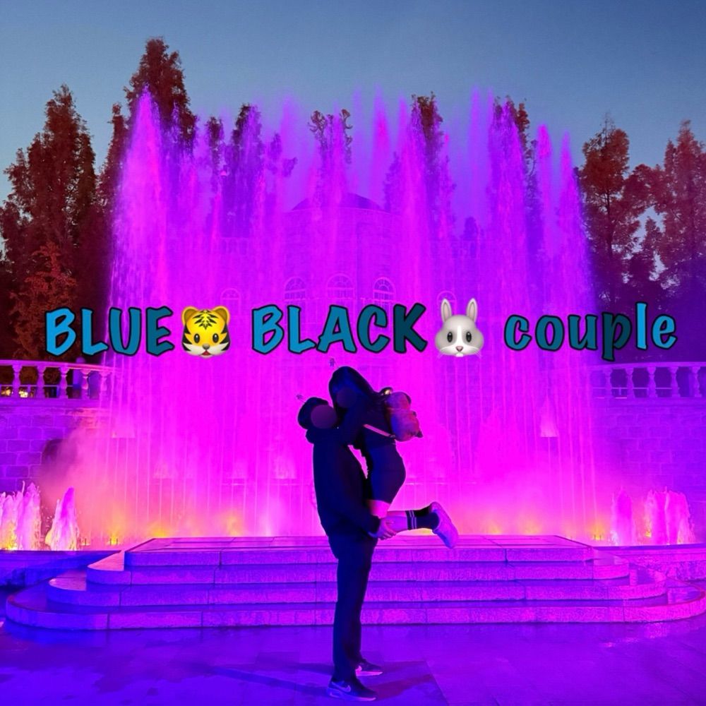 Profile picture blueblackcouple.bsky.social