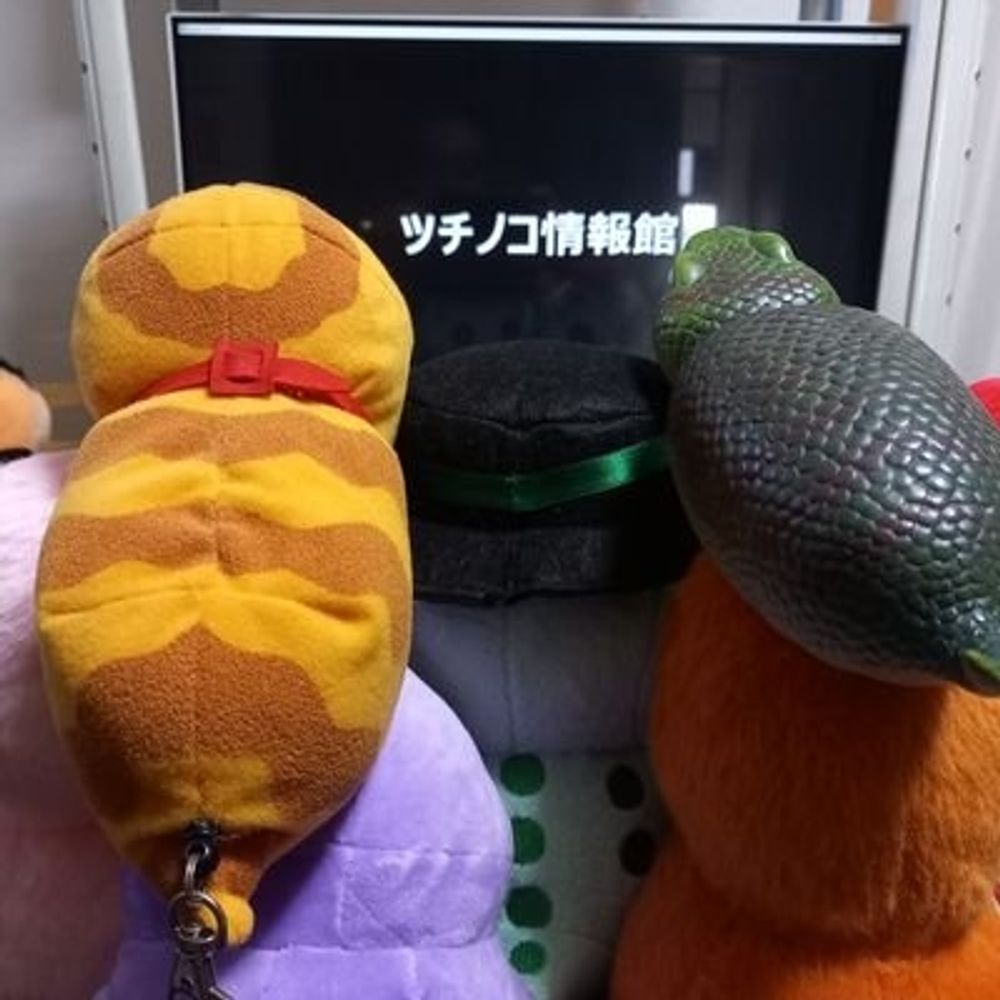 ツチノコ情報館