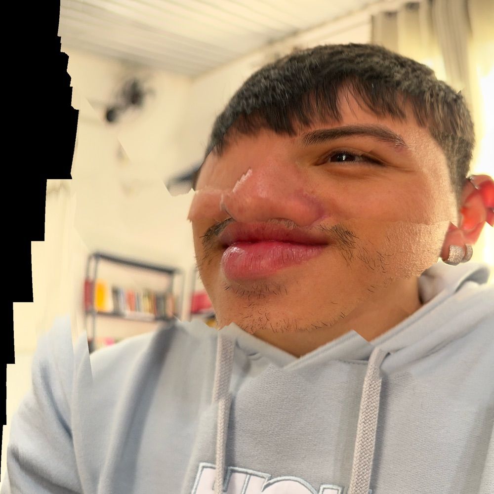 𝔏𝔲𝔦𝔷