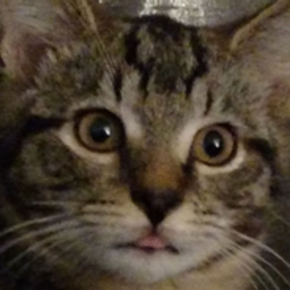 BoogerDeWitt