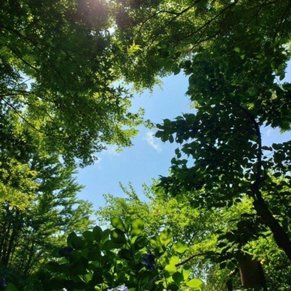 光那
