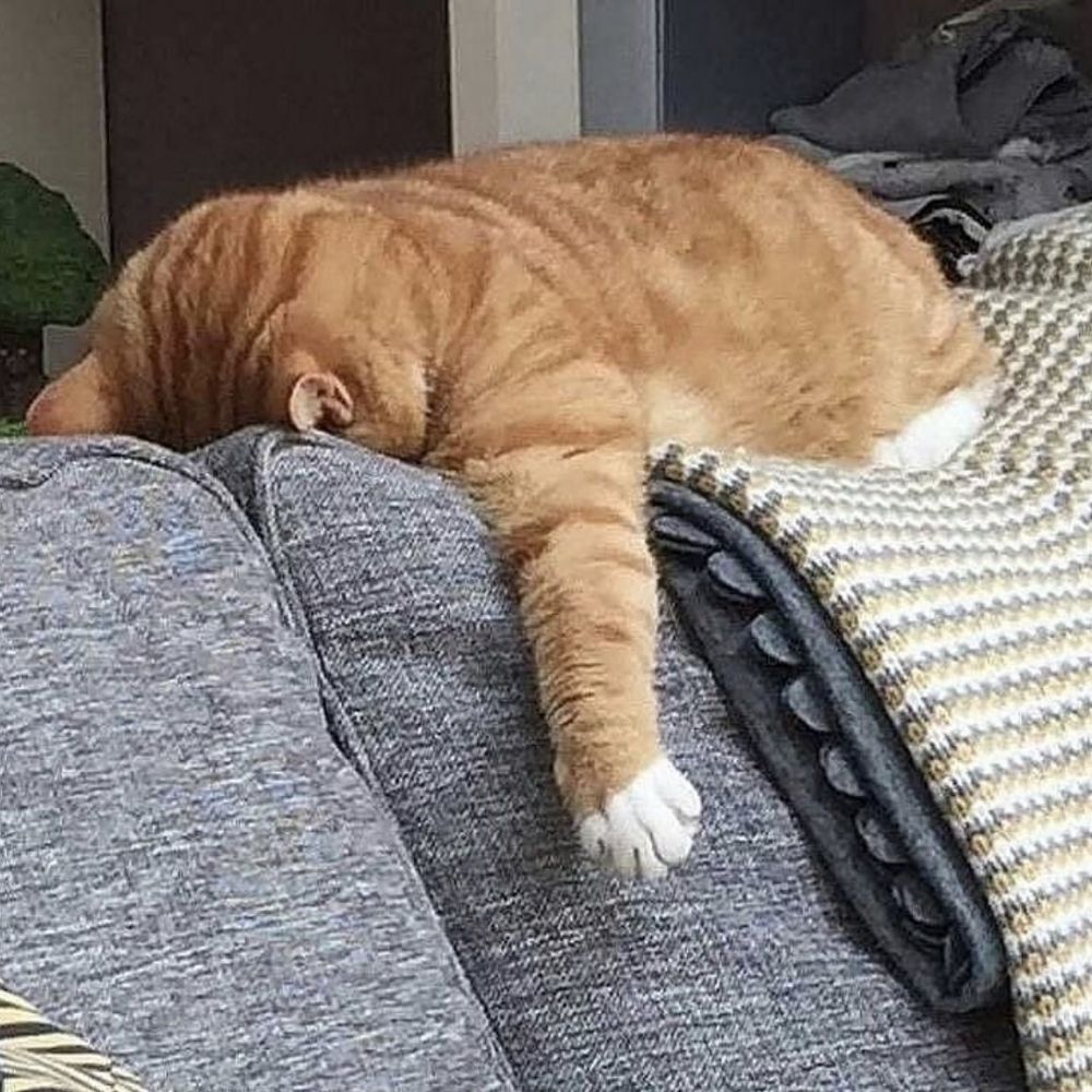 루카스