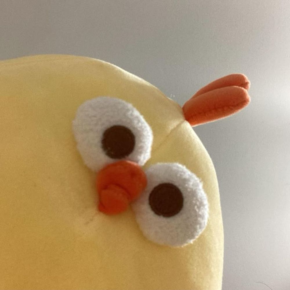 bib