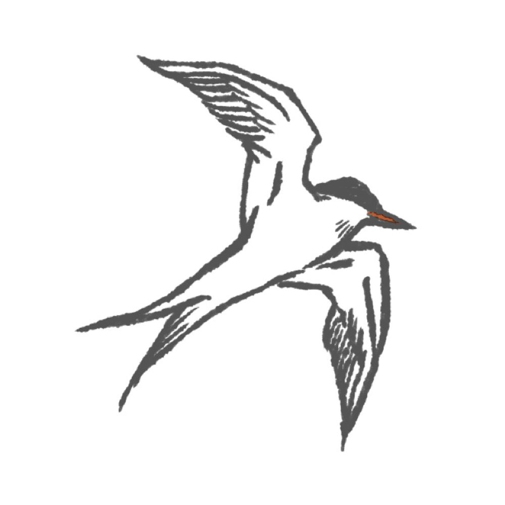 おうた