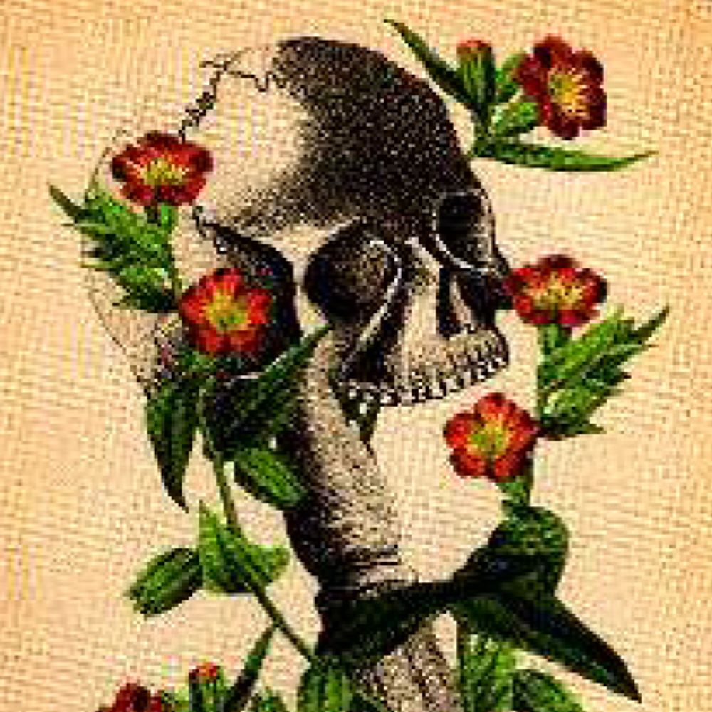 Prince of Wands