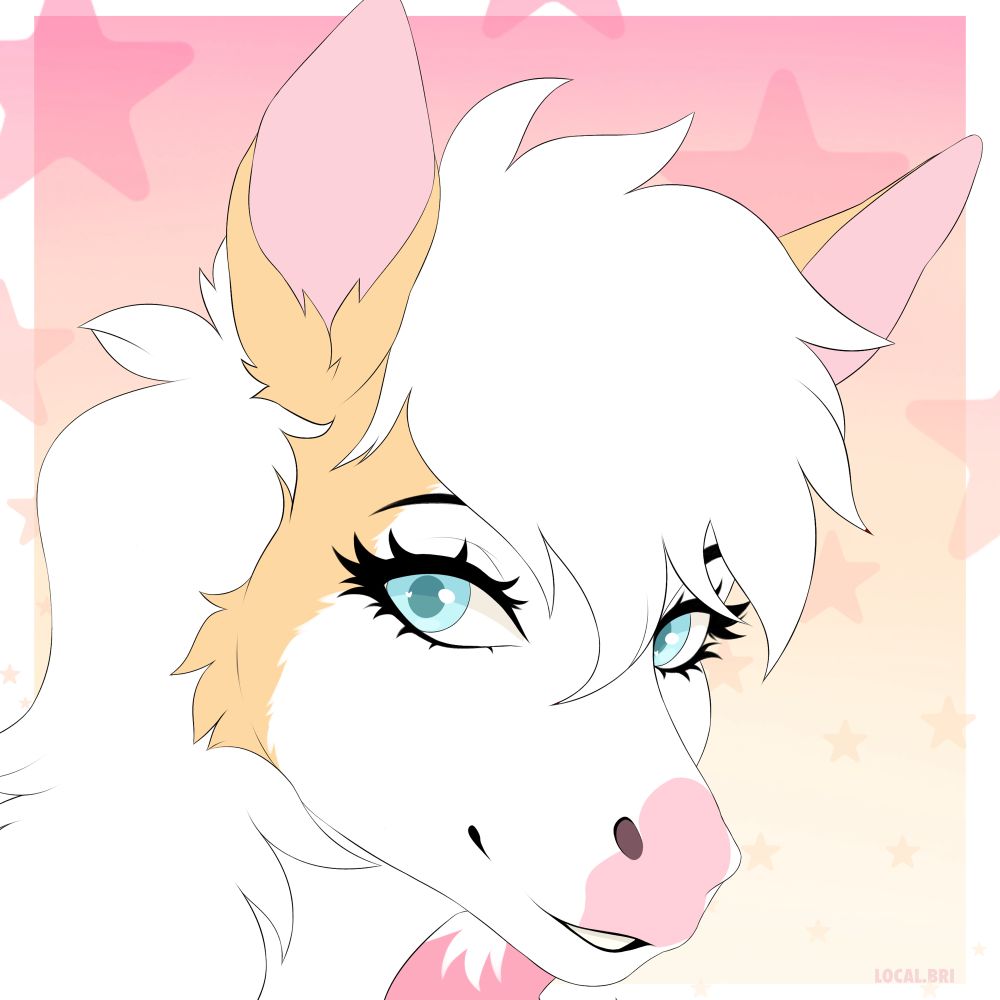 ShetlandZoe