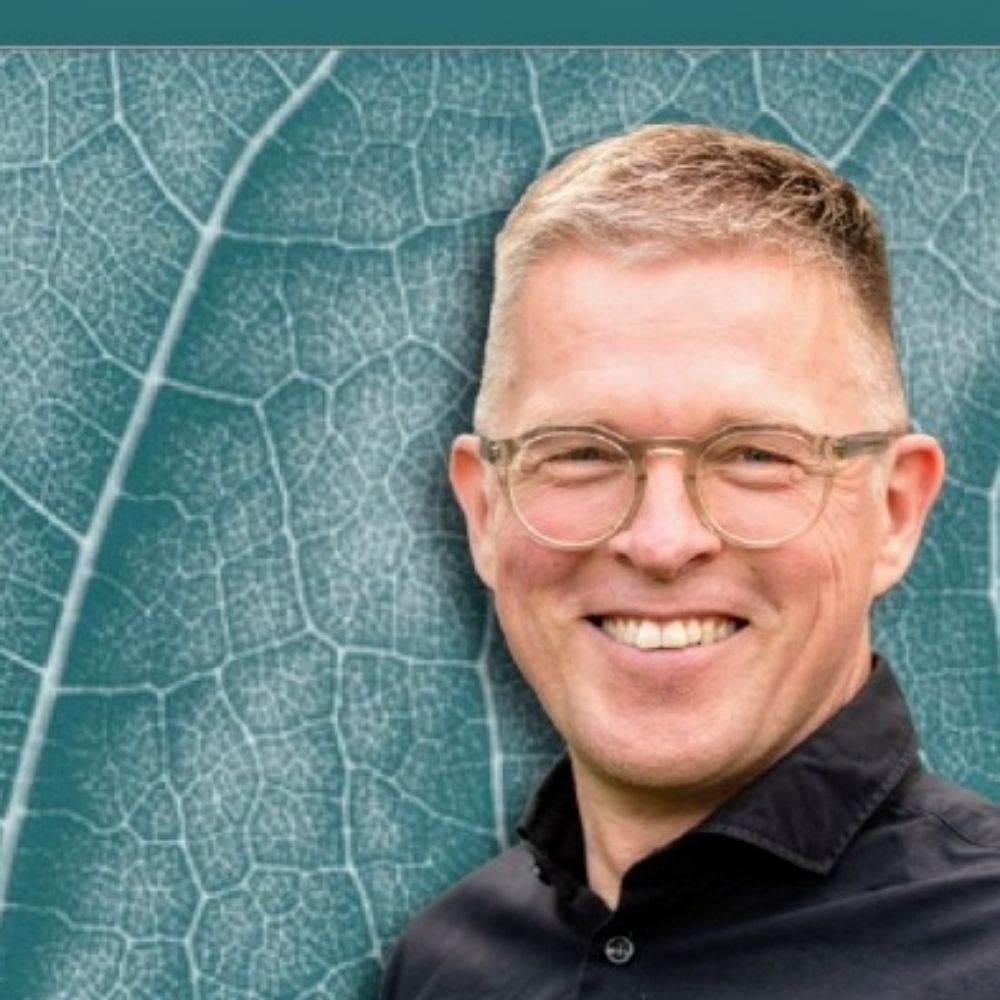 Theo Niessen