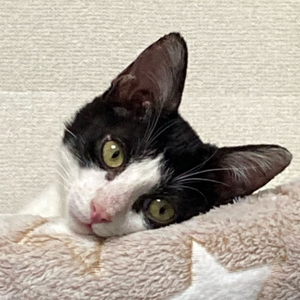 ゴンてゃん