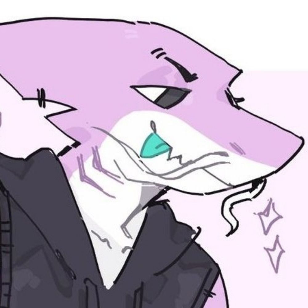 dokky